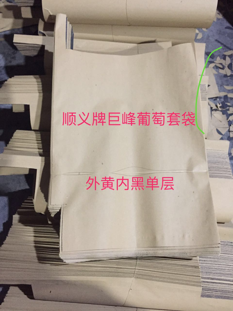 水果套袋果袋批发各种水果套袋