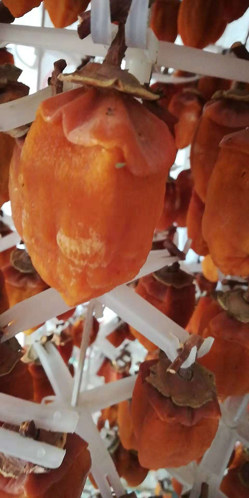 富平特级柿饼