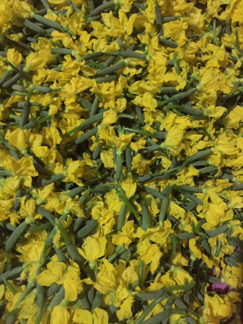 精品特菜黄瓜花