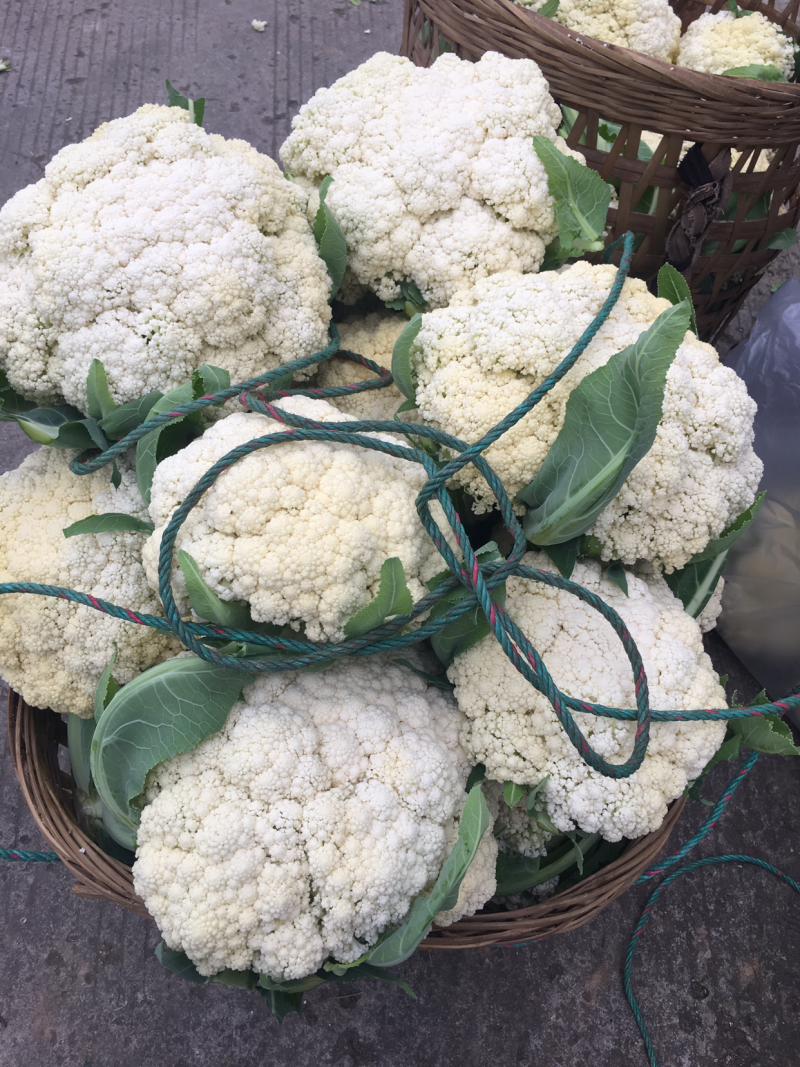 散花花菜白花白面青梗松花菜大量上市