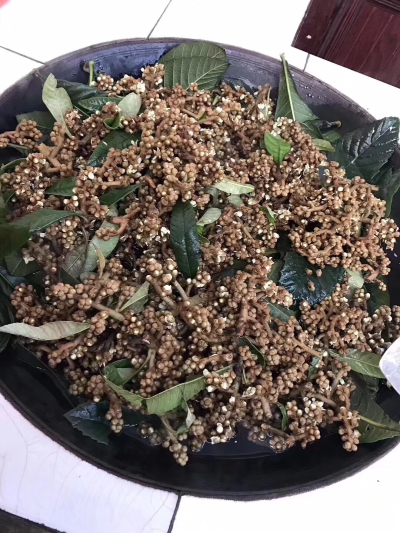 苏州西山正宗古法熬制枇杷膏，绝对正