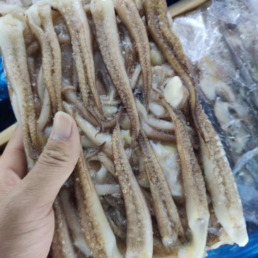 小板二本足
