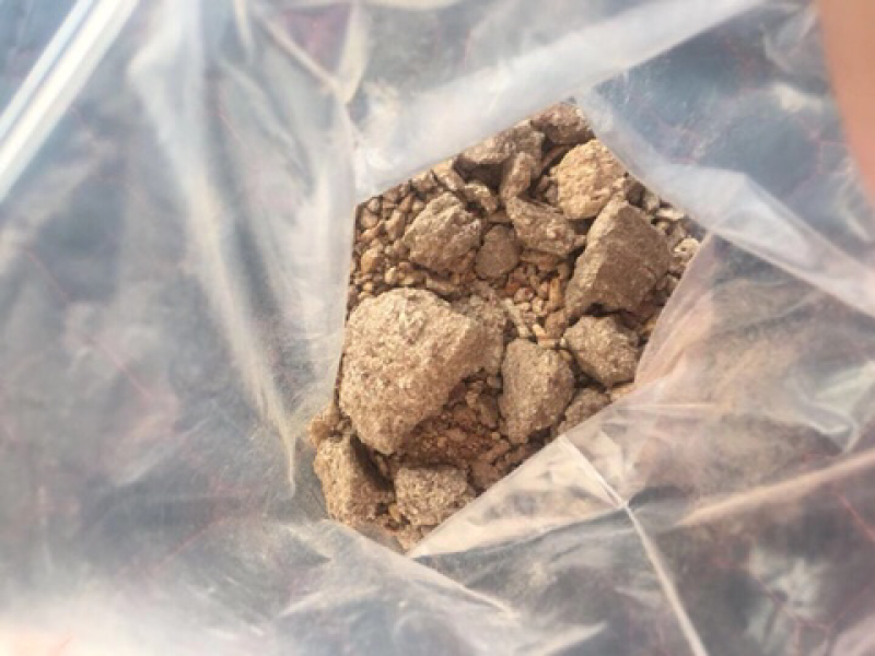花生粕