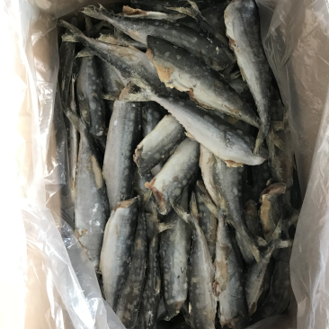 去头去脏小鲅鱼