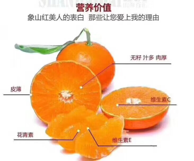 象山红美人橘子
