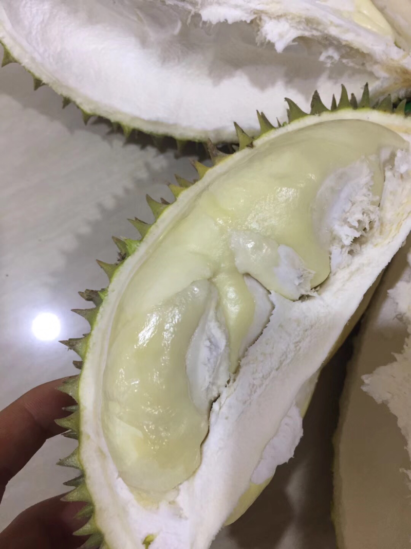 一级奶油猫山王25