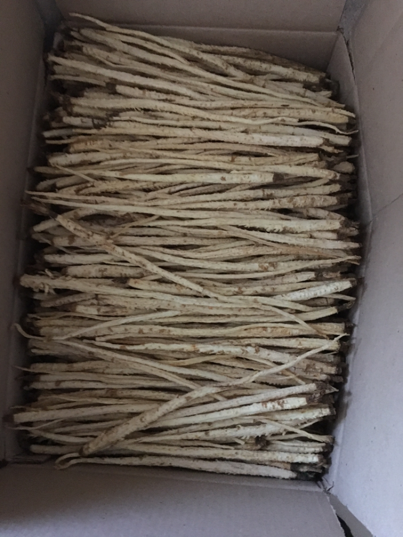 手选大条北沙参