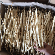 统货北沙参