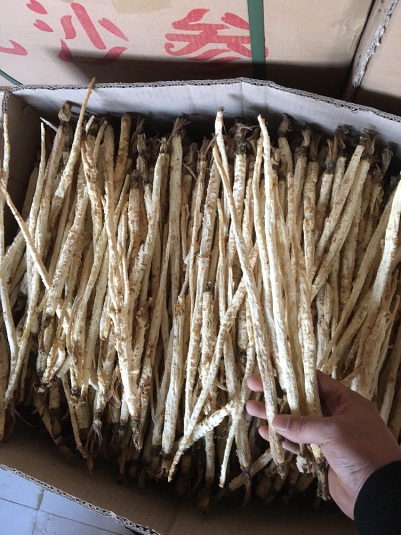 统货北沙参