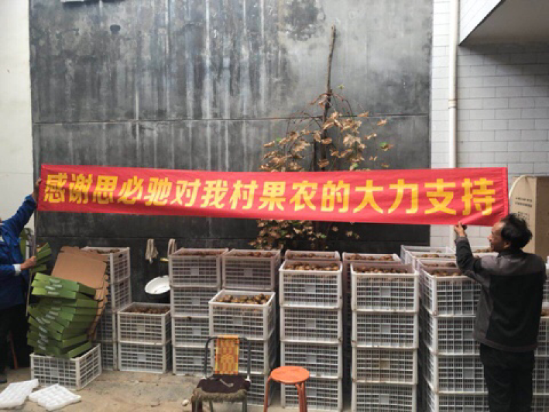 陕西眉县猕猴桃