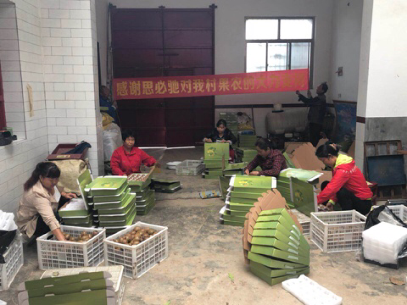 陕西眉县猕猴桃