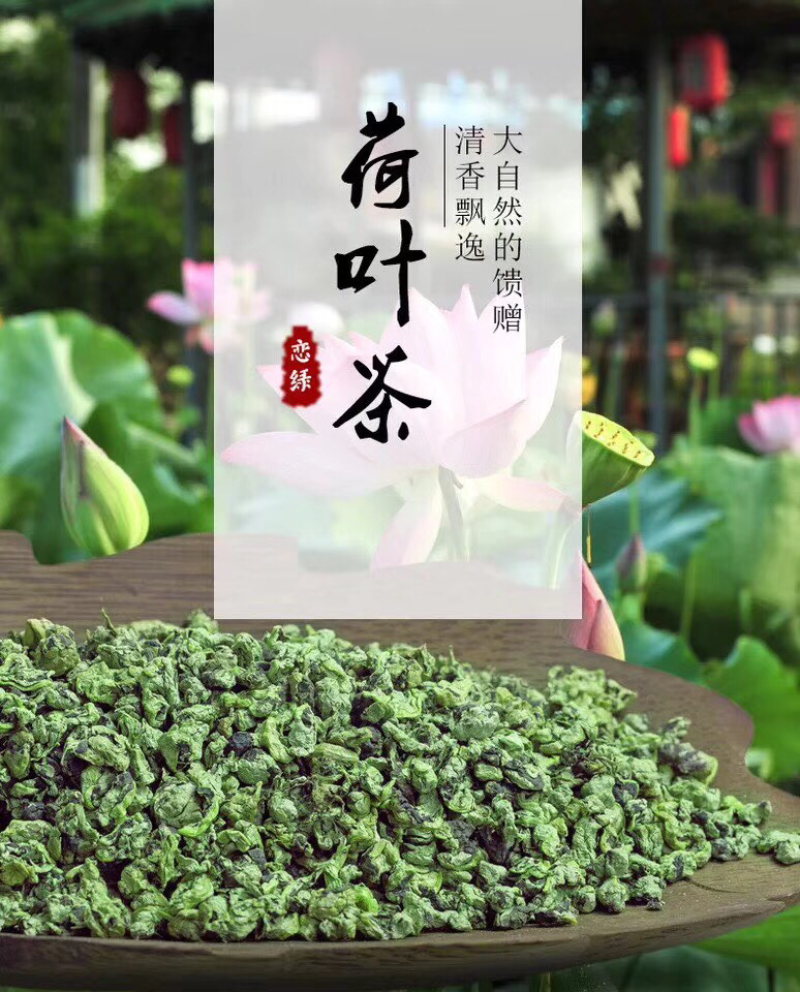 2025年新荷叶茶精品荷叶茶颗粒微山湖区荷叶茶