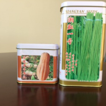 豇豆种子供应