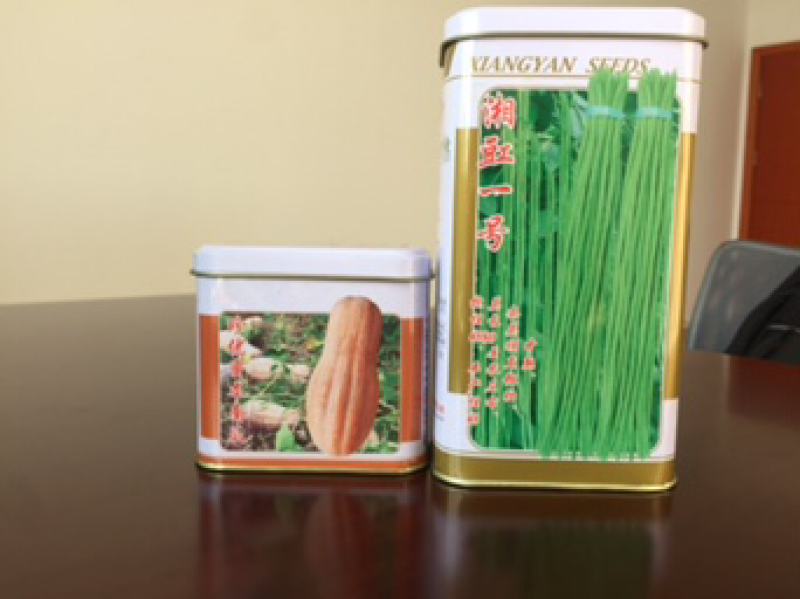 豇豆种子供应