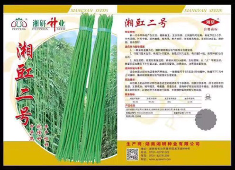 豇豆种子供应