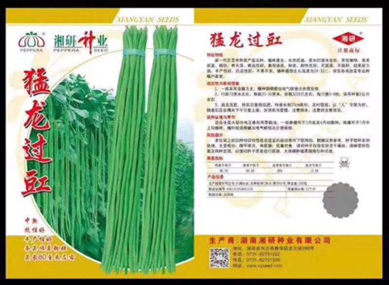 豇豆种子供应