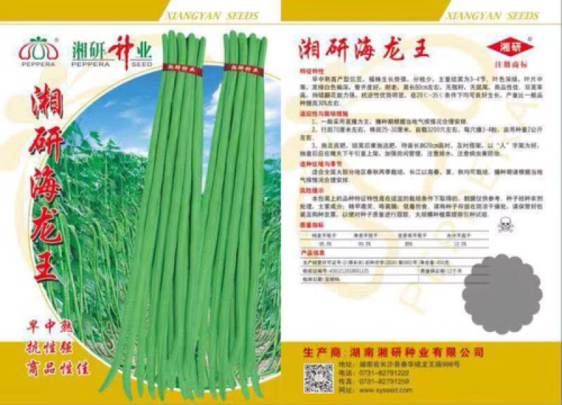 豇豆种子供应
