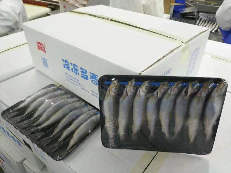 多春鱼