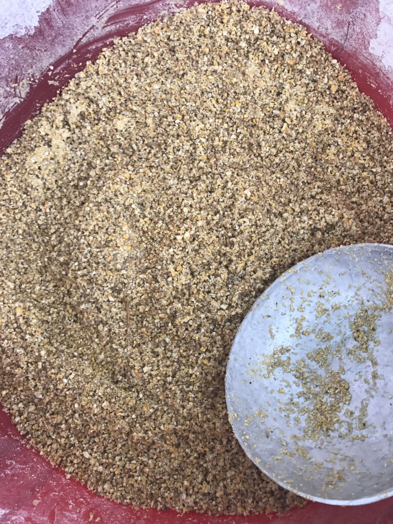 鲫鱼