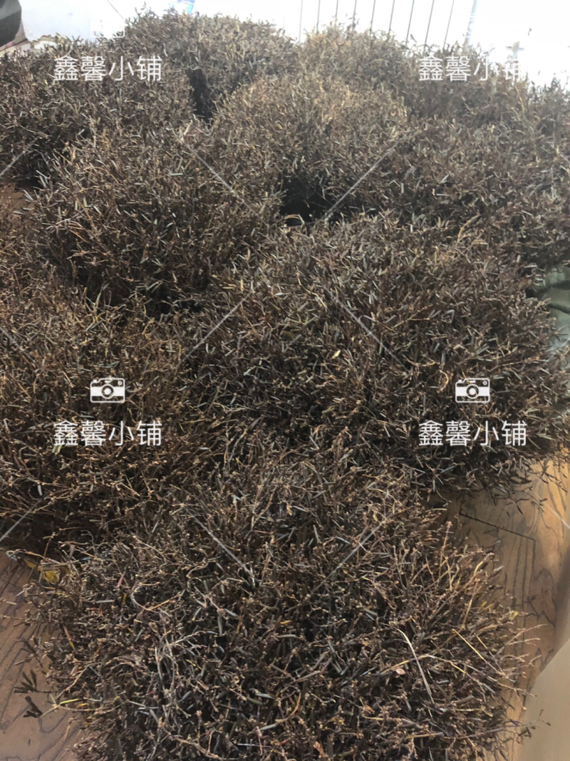 大兴安岭产地直发兴安杜鹃干枝