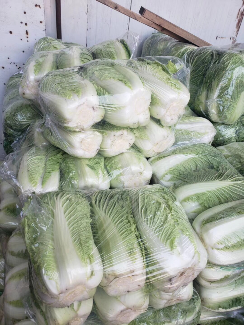 白菜，麻叶菜，津绿60