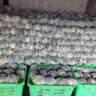 南菜北调，长年代收云南蔬菜。