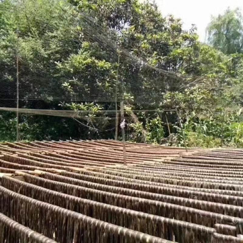 河源客家腐竹