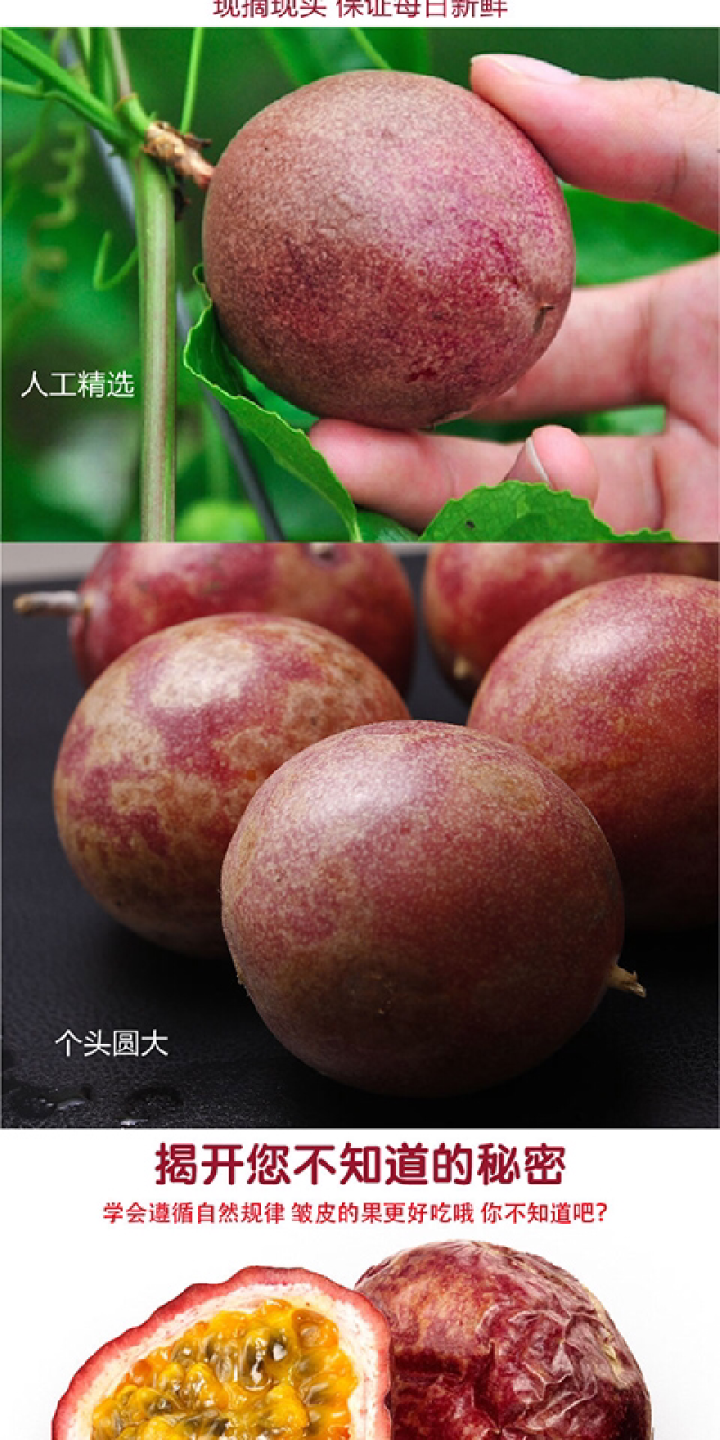 紫香百香果50-60克5斤/箱