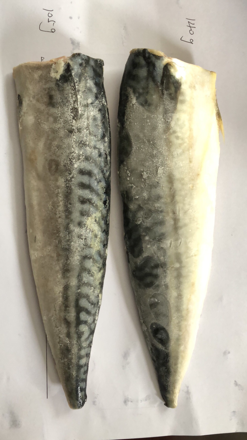 青鱼冻鱼