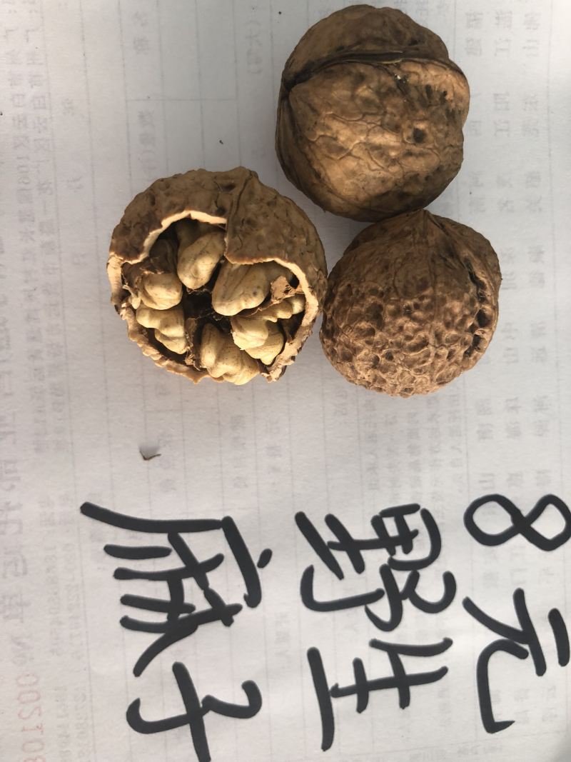 云南野生麻子核桃