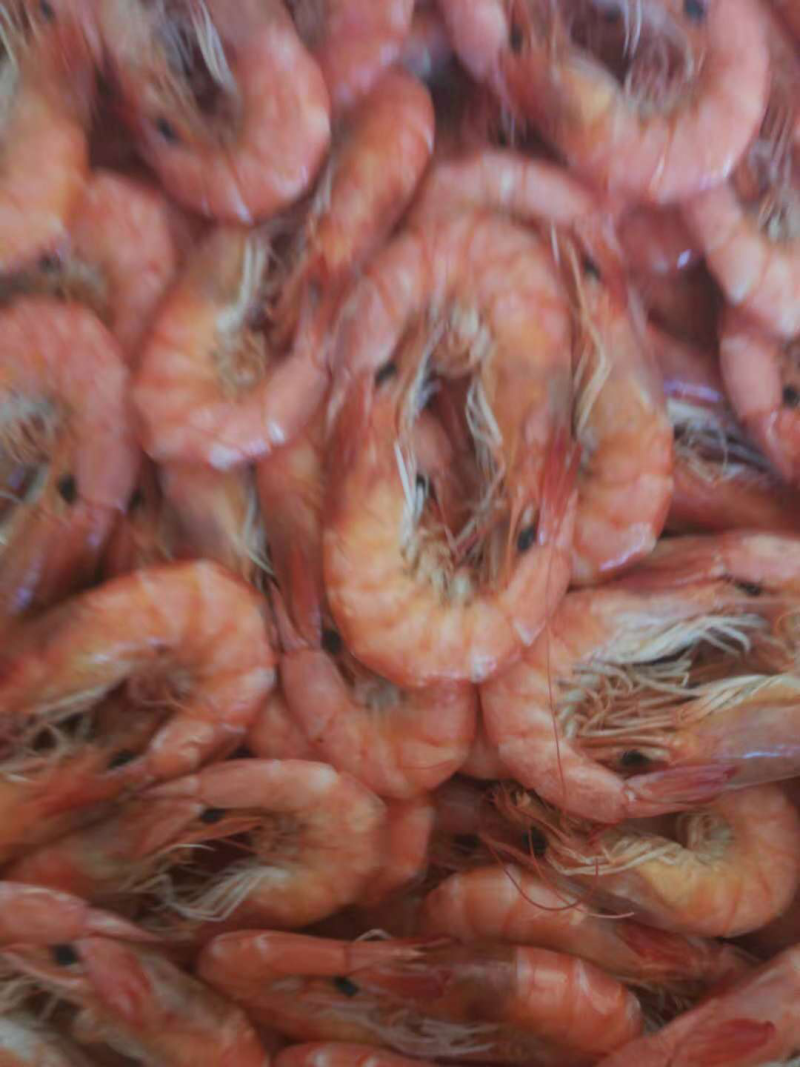 大对虾来了