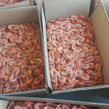 大对虾来了