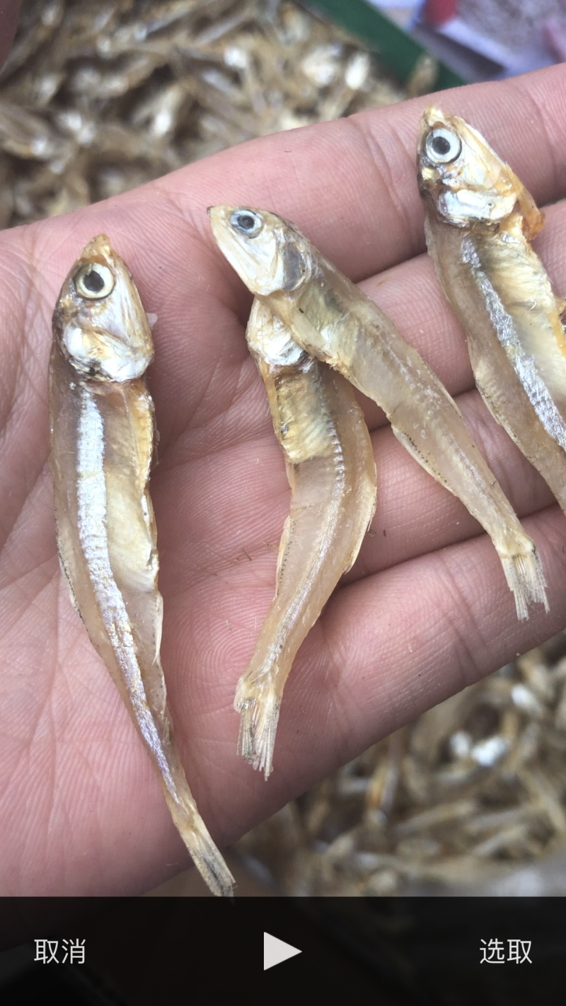 小鱼干银鱼干
