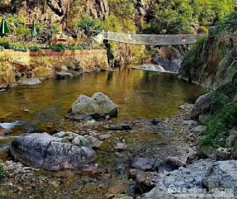 芙蓉李之乡。山美水美李更美。