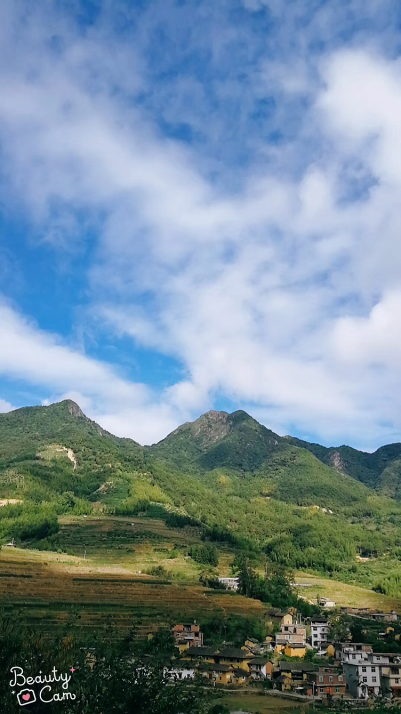芙蓉李之乡。山美水美李更美。