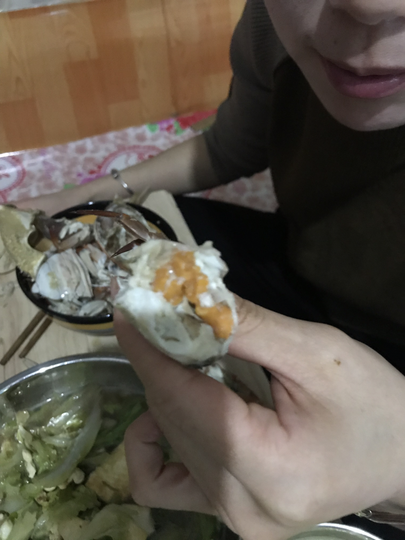 梭子蟹