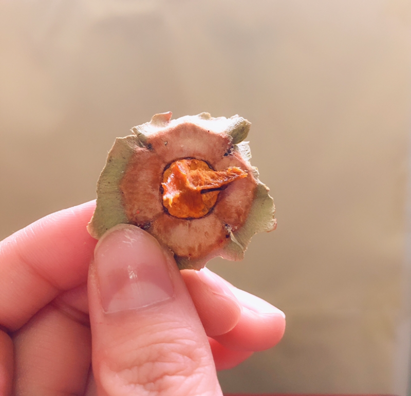富平柿饼