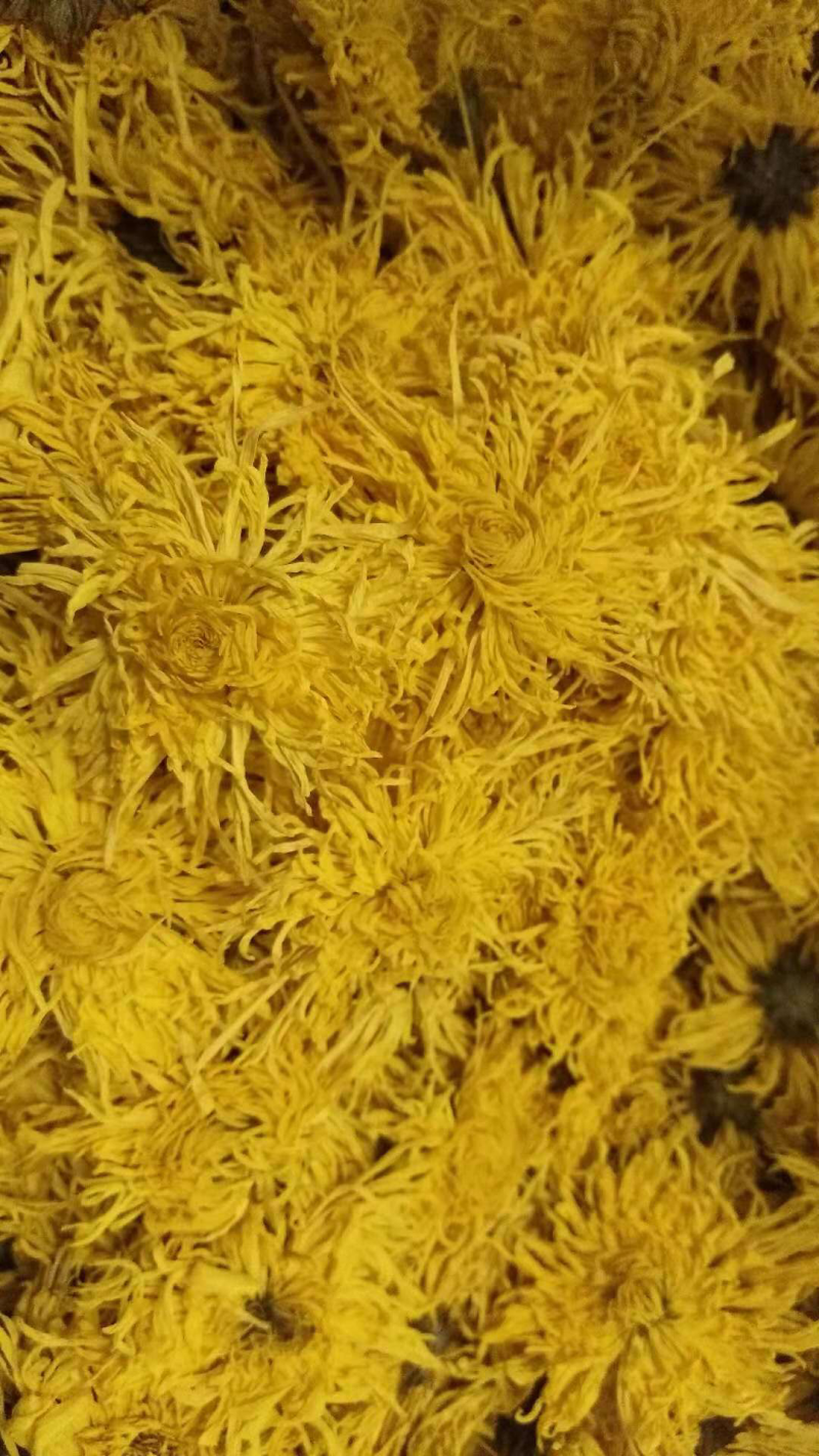 金丝皇菊特级一级，二级