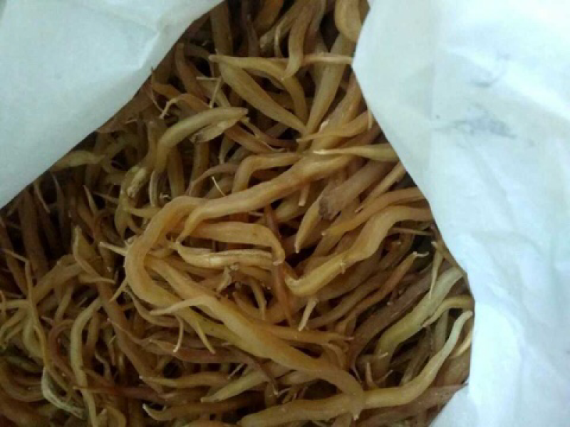产地自产自销大天冬小天冬