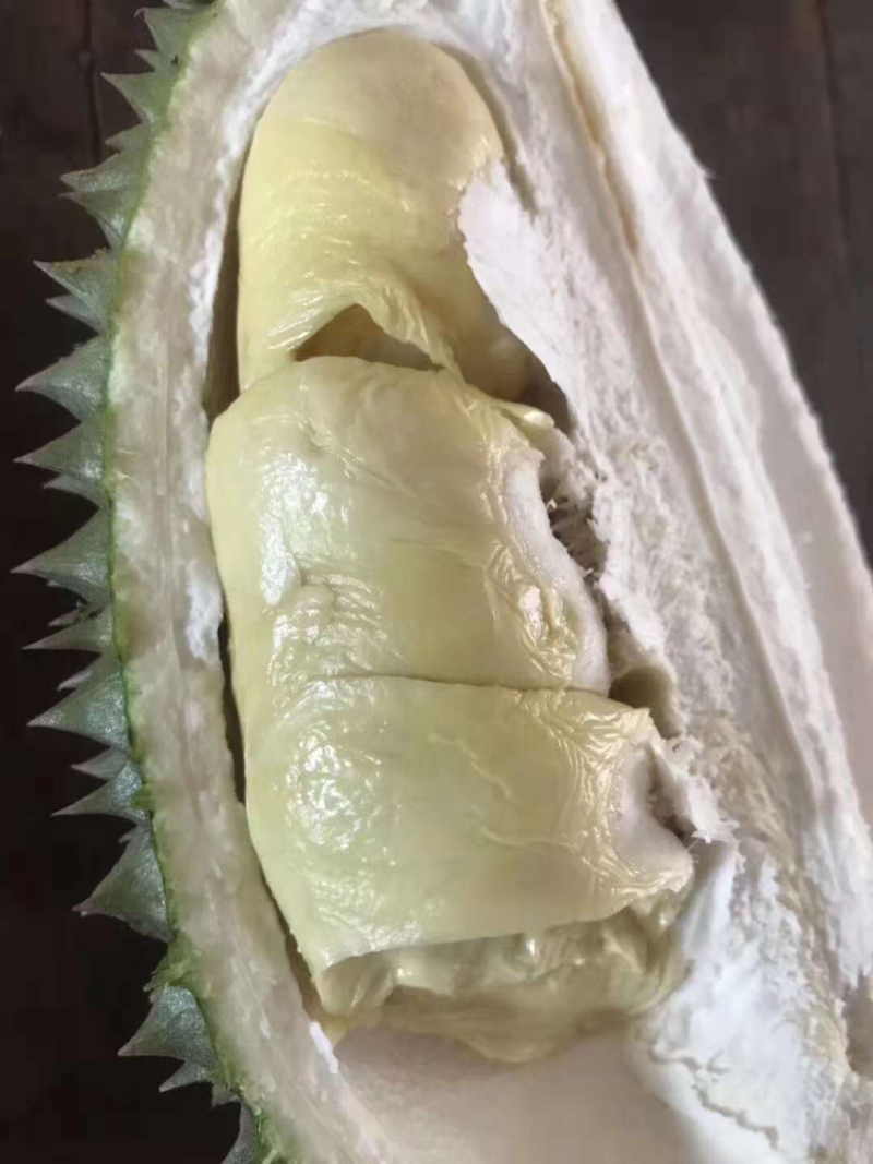 越南猫山王榴莲