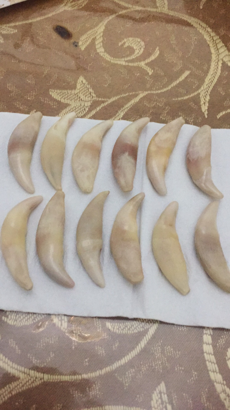 狼牙