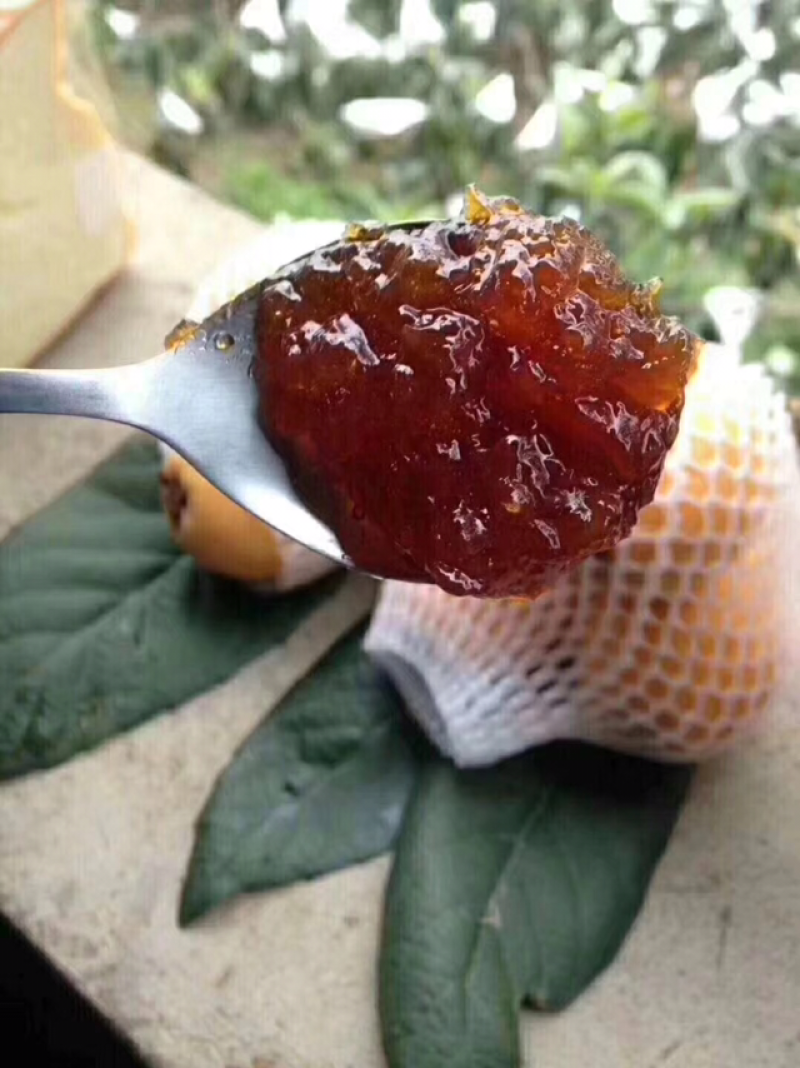枇杷膏
