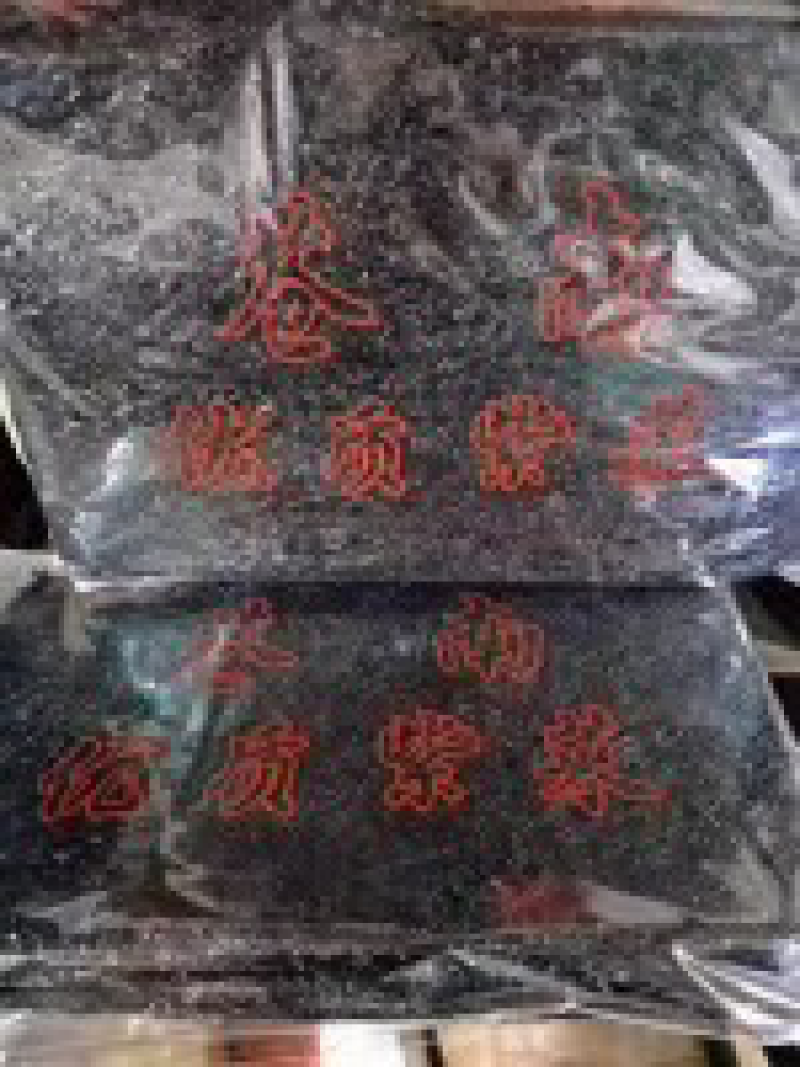 头水紫菜五斤包邮