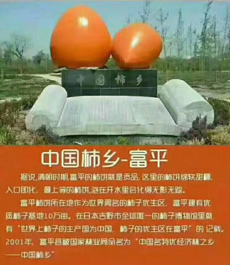 农家自产柿饼可散装可批发五斤装