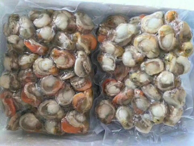 大扇贝肉真空包装大个带膏新鲜现扒海鲜