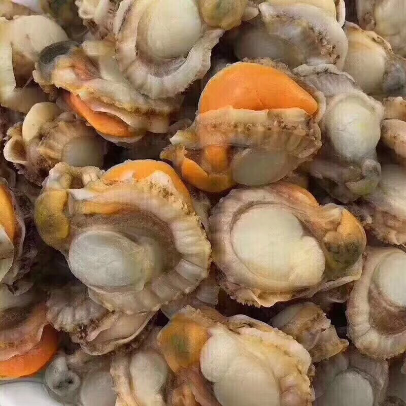 大扇贝肉真空包装大个带膏新鲜现扒海鲜