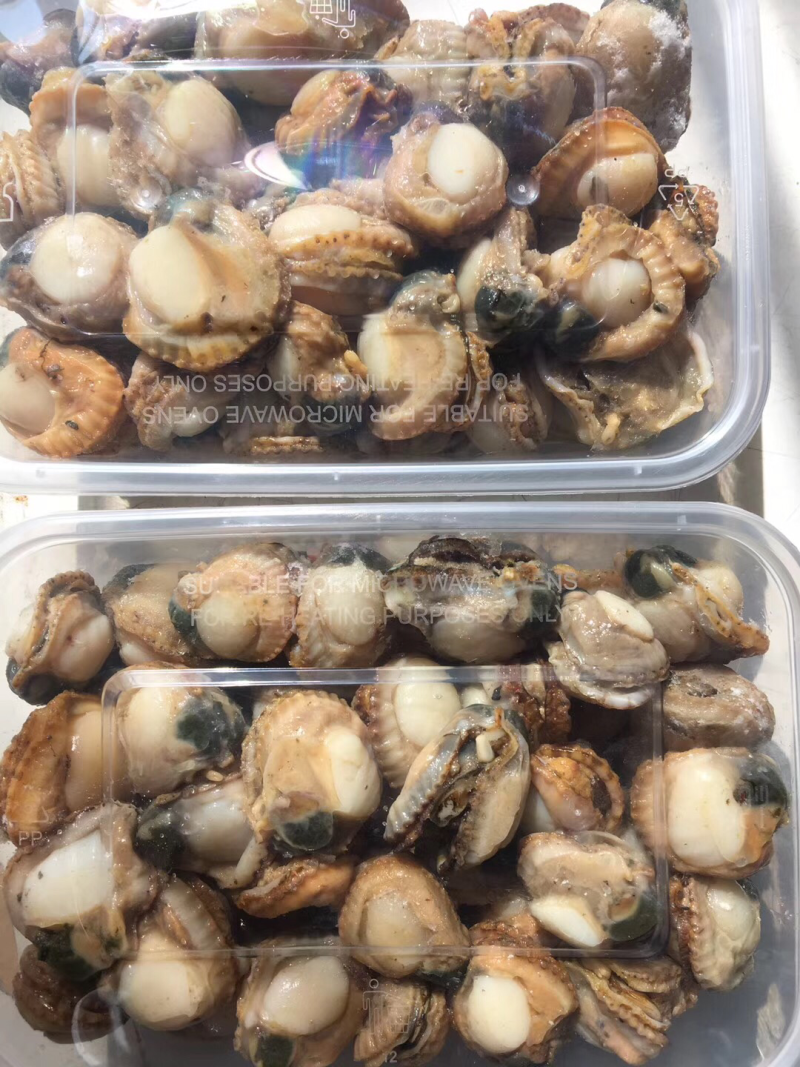 大扇贝肉真空包装大个带膏新鲜现扒海鲜