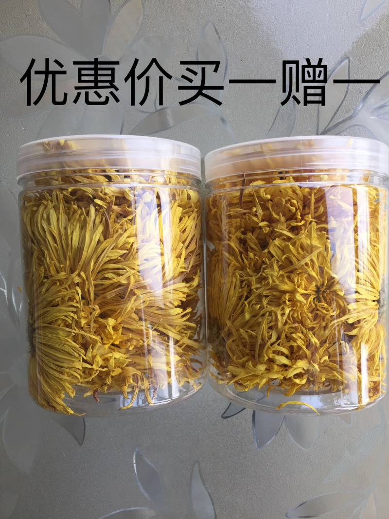 皇菊