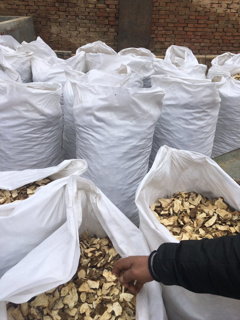 白术精品优质中药材好货推荐