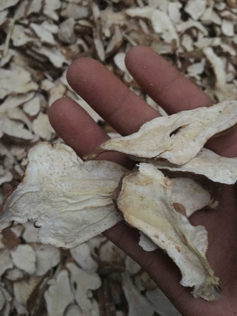 白术精品优质中药材好货推荐